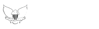 SilverEagles.tv